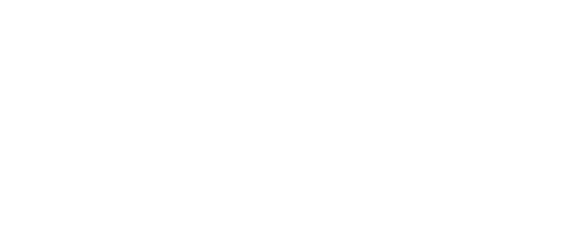 MSM
